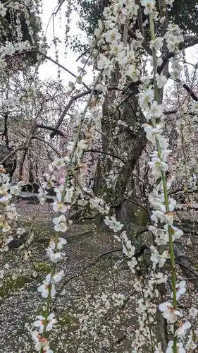 城南宮(京都府)