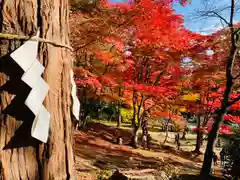 土津神社｜こどもと出世の神さまの景色