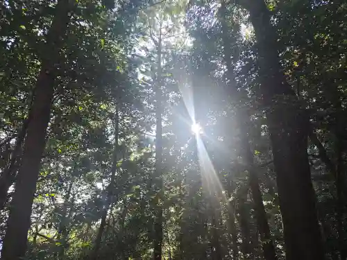 醍醐寺（上醍醐）(京都府)
