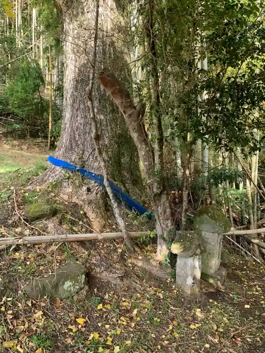 石橋稲荷(千葉県)