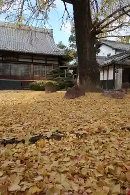 梅英寺(岐阜県)