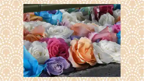 草加神社(埼玉県)