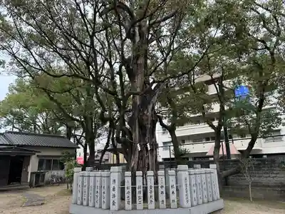 浜の宮天満宮(兵庫県)
