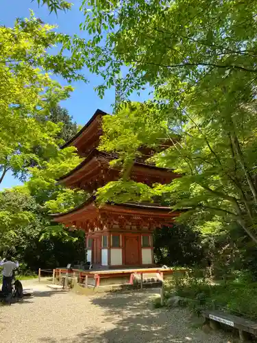 浄瑠璃寺の塔