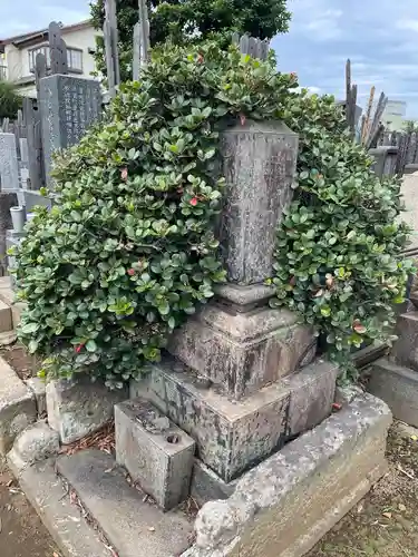 多宝院(東京都)