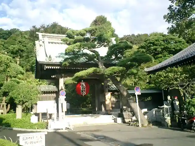 長谷寺の山門・神門