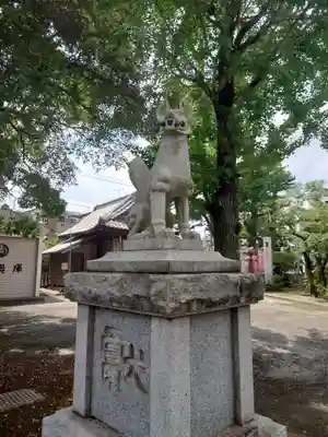半田稲荷神社の狛犬