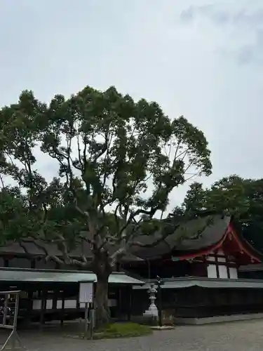 宗像大社(福岡県)