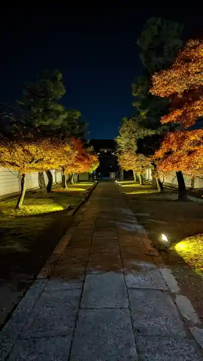 妙顯寺(妙顕寺)(京都府)