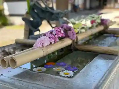 今市報徳二宮神社(栃木県)