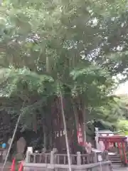 海南神社(神奈川県)