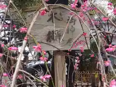 牛天神北野神社(東京都)