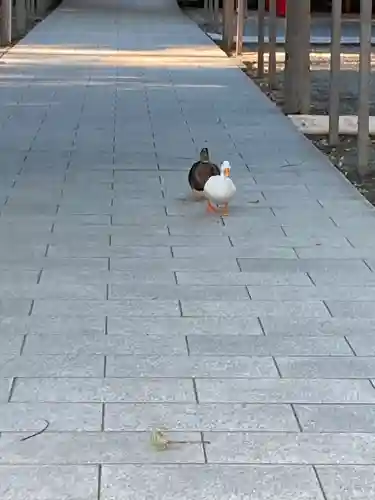 平塚八幡宮(神奈川県)