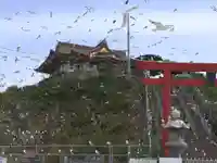 蕪嶋神社の動物