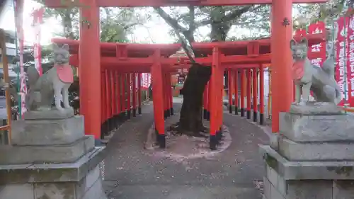 宗像神社の鳥居