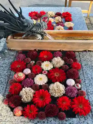 川越八幡宮(埼玉県)