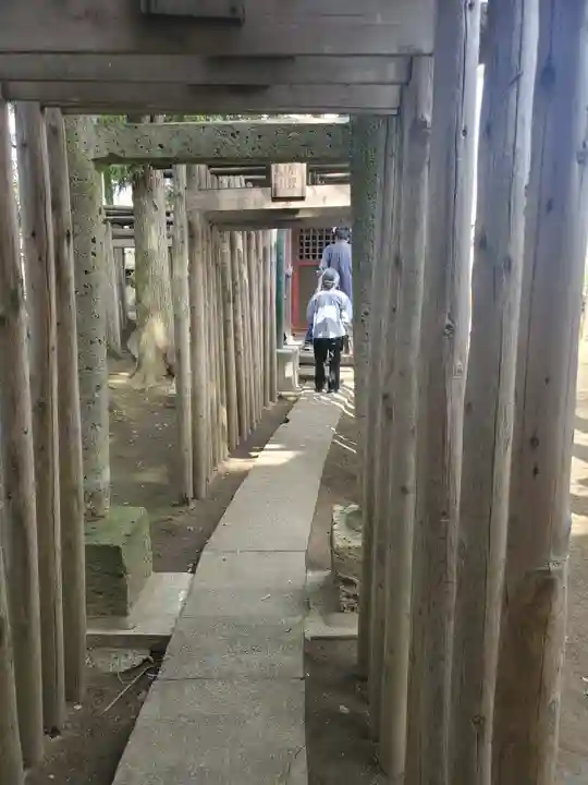 日限富士浅間神社の鳥居