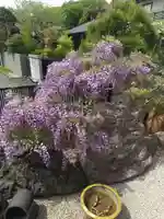 高圓寺(千葉県)