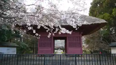 薬王院の山門・神門