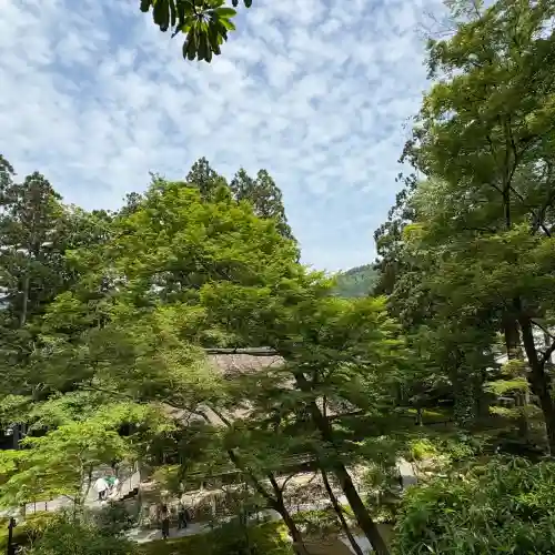 三千院門跡(京都府)