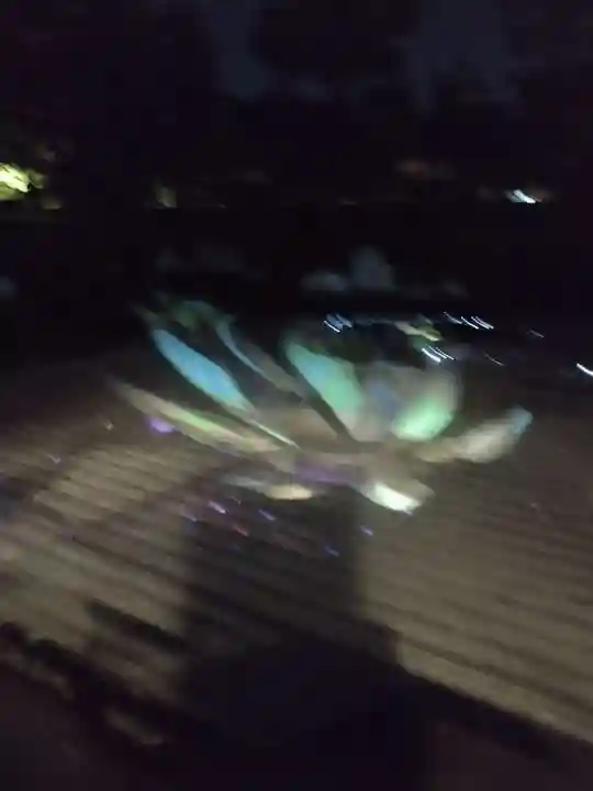 高台寺(高台寿聖禅寺・高臺寺)の周辺