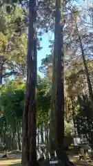 大神神社(栃木県)