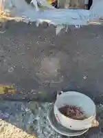 浅間神社(福居町)(栃木県)