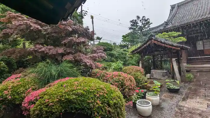 西蓮寺(京都府)