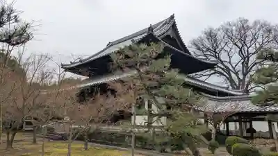 興聖寺(京都府)