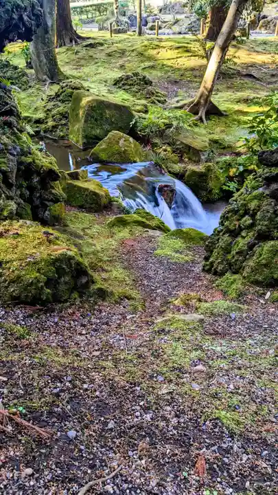 成田山新勝寺の自然
