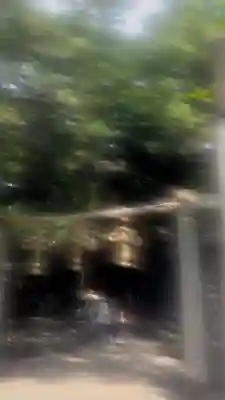 枚岡神社(大阪府)