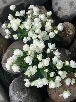上尾御嶽神社の手水舎