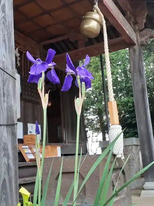 伏木香取神社(茨城県)