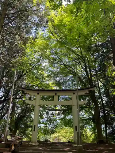 宝登山神社奥宮(埼玉県)