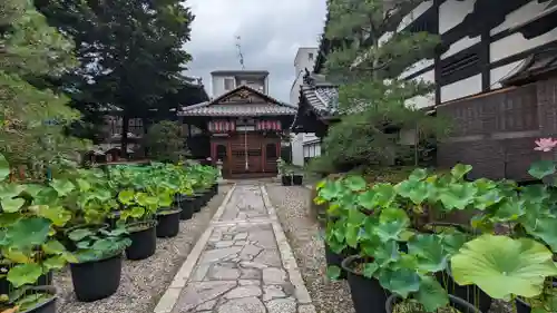 行願寺（革堂）のその他建物