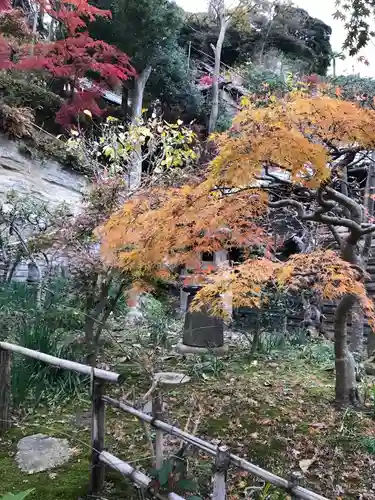 円覚寺の庭園