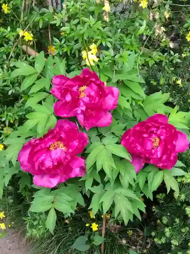 多聞院(埼玉県)