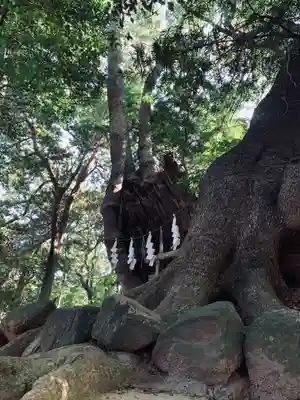 住吉神社(山口県)