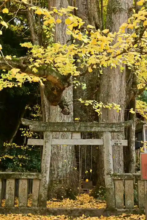 瑞応寺(愛媛県)