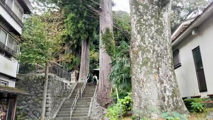 日枝神社(静岡県)