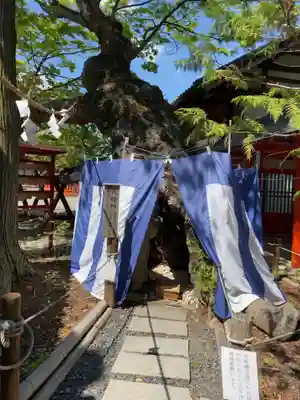 生島足島神社(長野県)