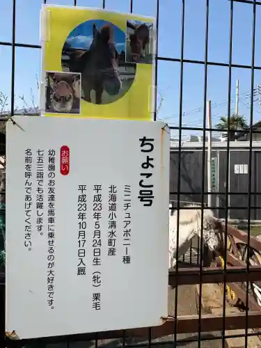 五方山熊野神社(東京都)