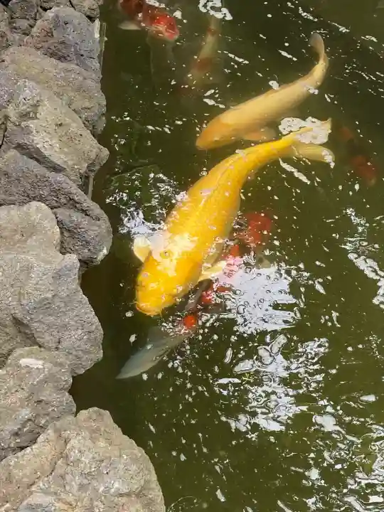 吉原弁財天本宮(吉原神社奥宮)(東京都)