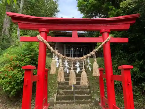 箱根神社の鳥居