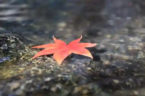 鹿島大神宮の自然