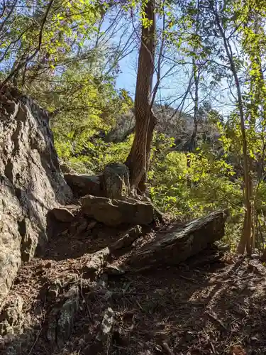 琴平神社の自然
