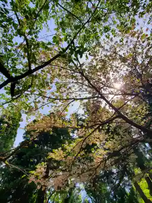 磐椅神社(福島県)