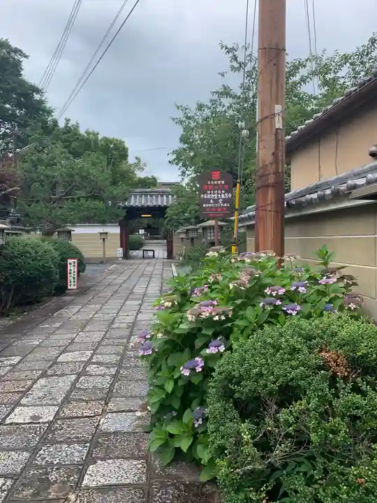 大報恩寺(千本釈迦堂)のその他建物