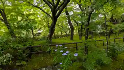 真正極楽寺(真如堂)(京都府)