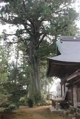 松山神社(千葉県)